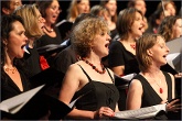 Vocalgestoeber 08.06.09_013